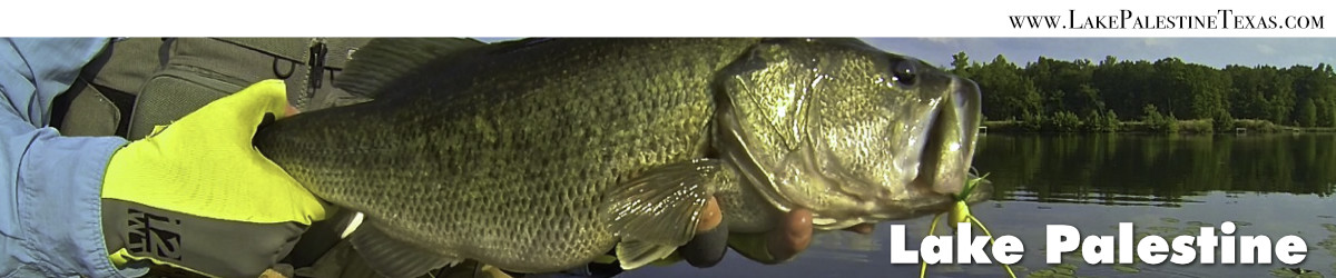 Lake Palestine near Tyler, Athens and Canton Texas