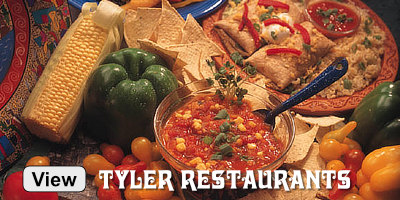 Tyler hotels, motels, B&Bs, and other lodging ... click to learn more